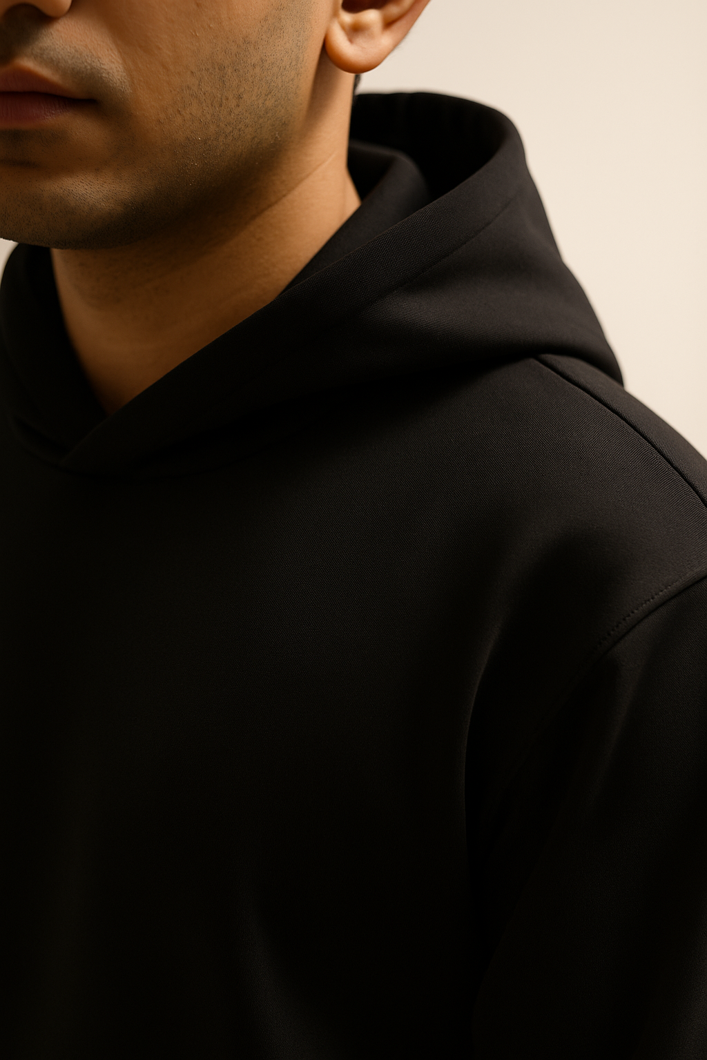 Luxe Regular Fit Pullover Hoodie
