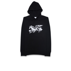 Unicorn Regular Fit Pullover Hoodie