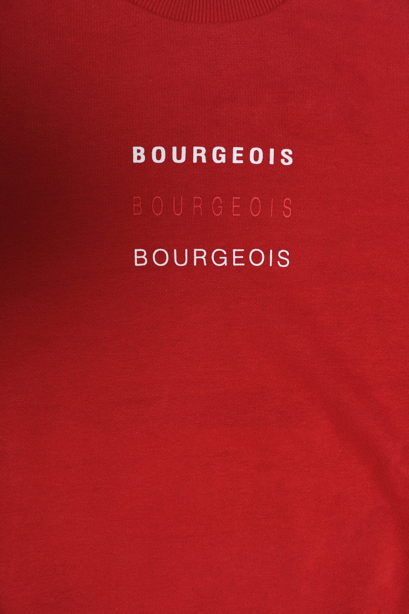 Bourgeois Regular Fit Sweatshirt - Tops