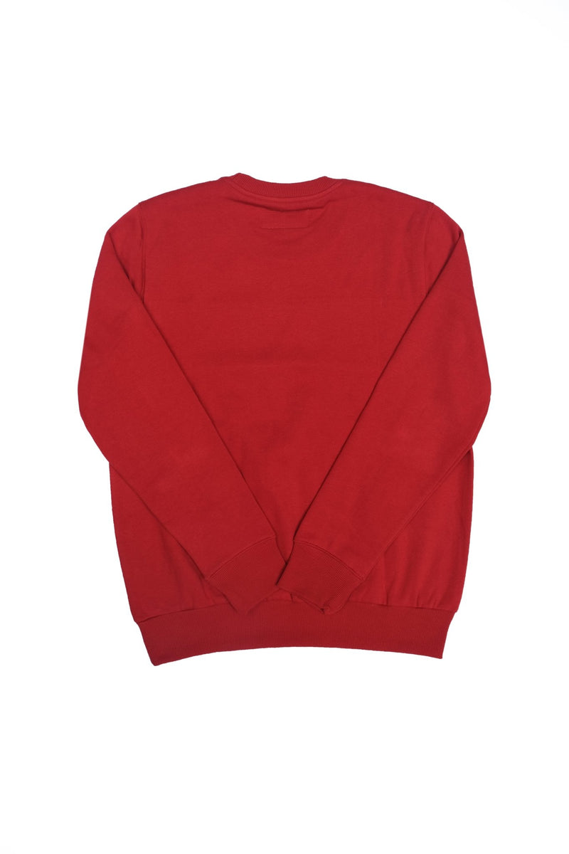 MultiColor Regular Fit Sweatshirt - Tops